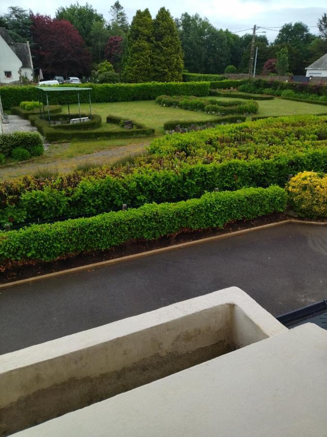 Homestay Solo Grande Maison *